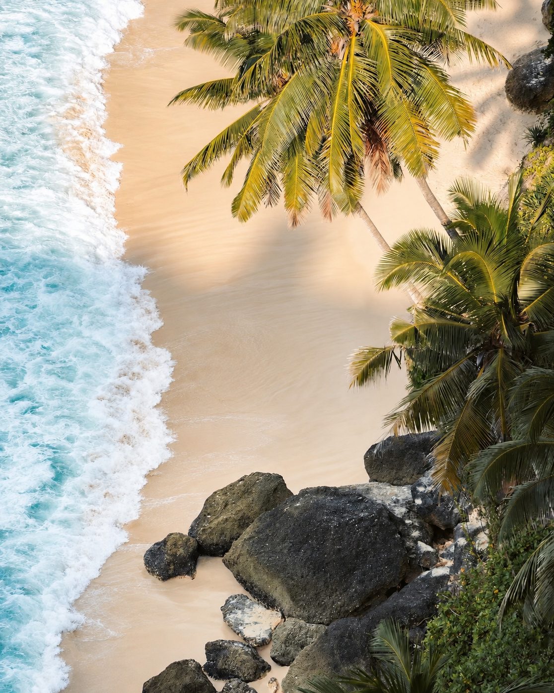 Tropical beach from above
